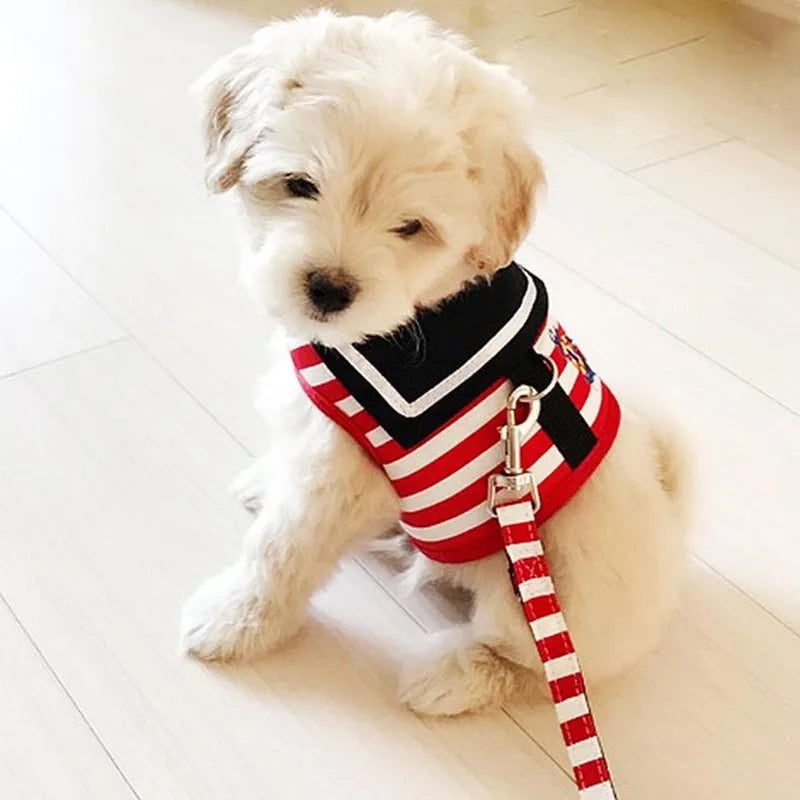 Pet Accessories