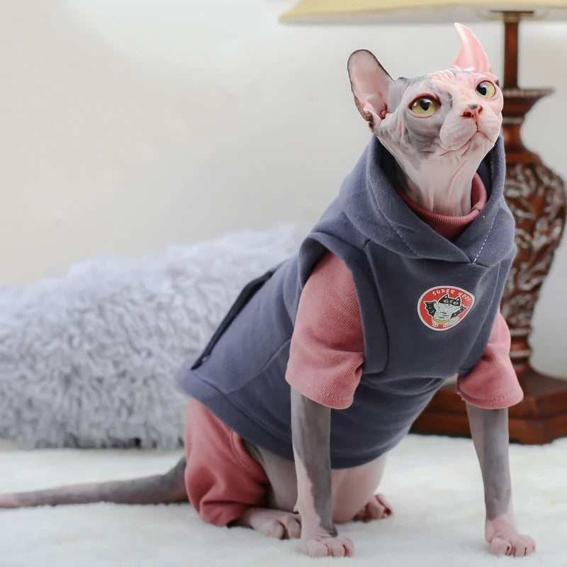 Cat Outfits